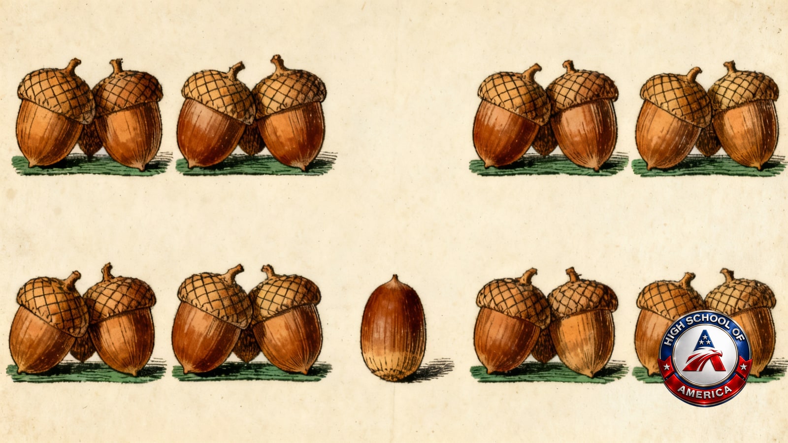 Engraved plate of twenty-three acorns in seven clusters of four, four, four, three, three, one and four, standing for the units a Savannah GA high school diploma requires